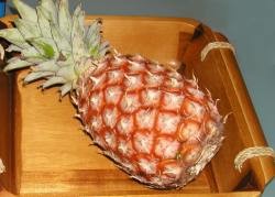 ananas_pstovn