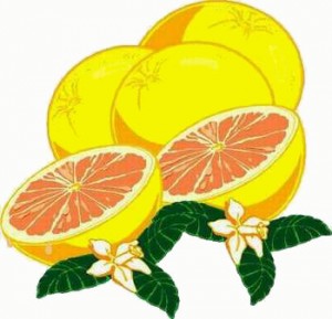 grapefruit_photo04